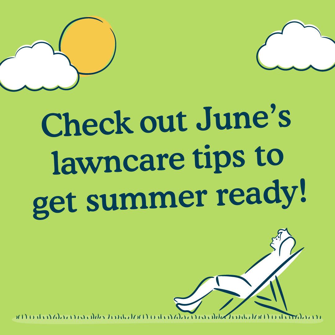 June Essentials- Growing above and beyond in your garden this summer
