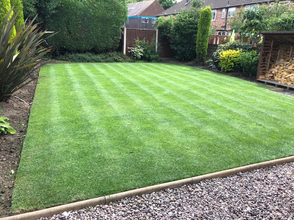 How long do I need to wait before feeding my new lawn?