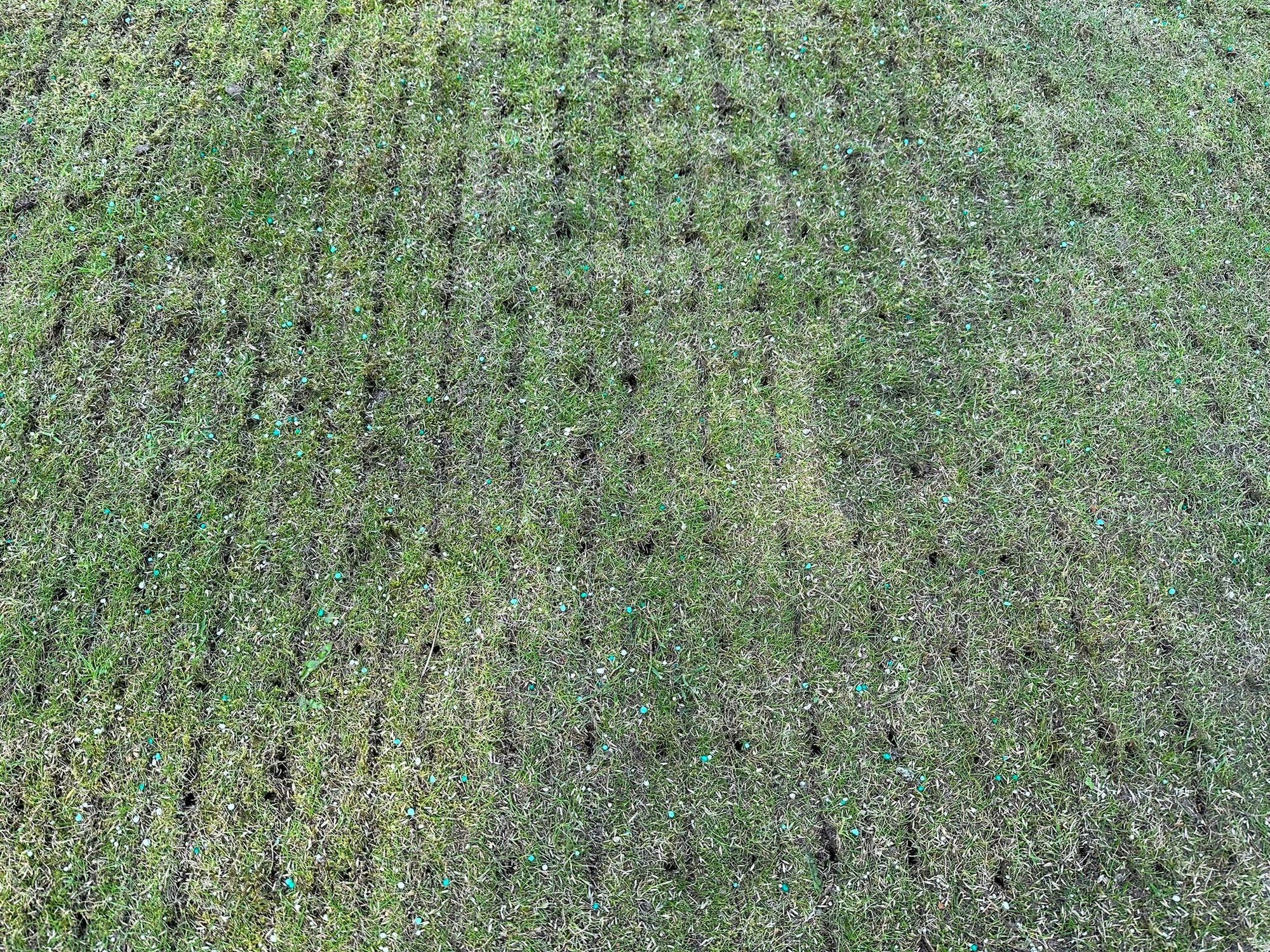 What is Hollow Tine Aeration for a Lawn?