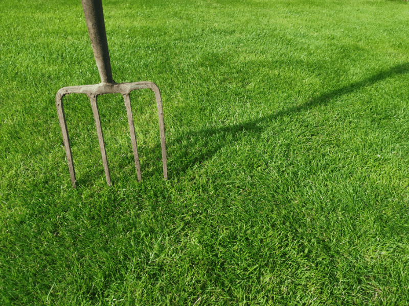 How to aerate a lawn