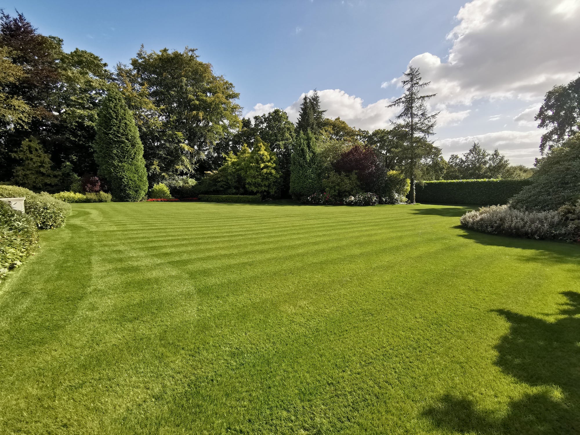 It’s not too early to get the lawn ready for the summer.
