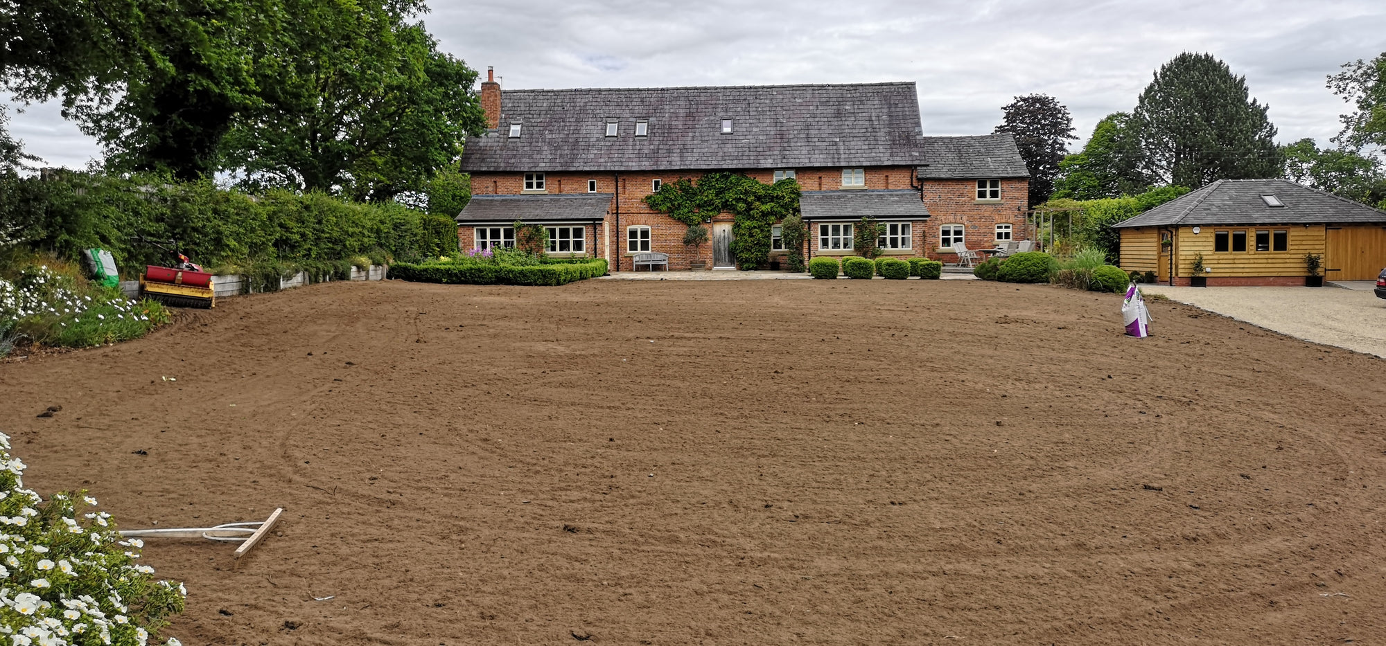 Best time to sow grass seed