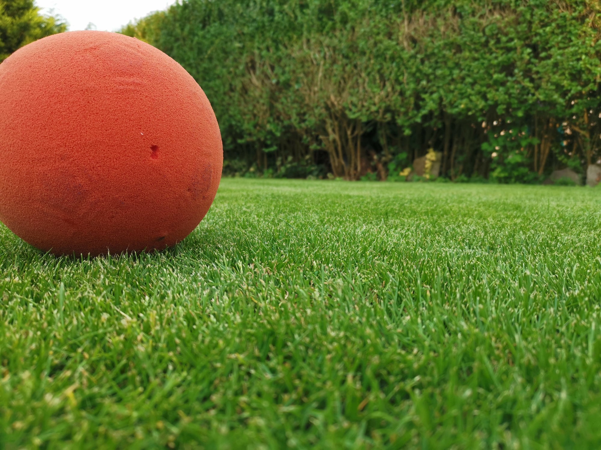 Spring lawn care tips