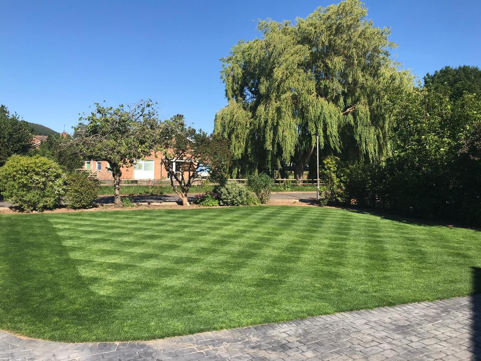 Why Real Lawns are Better Than Artificial Lawns