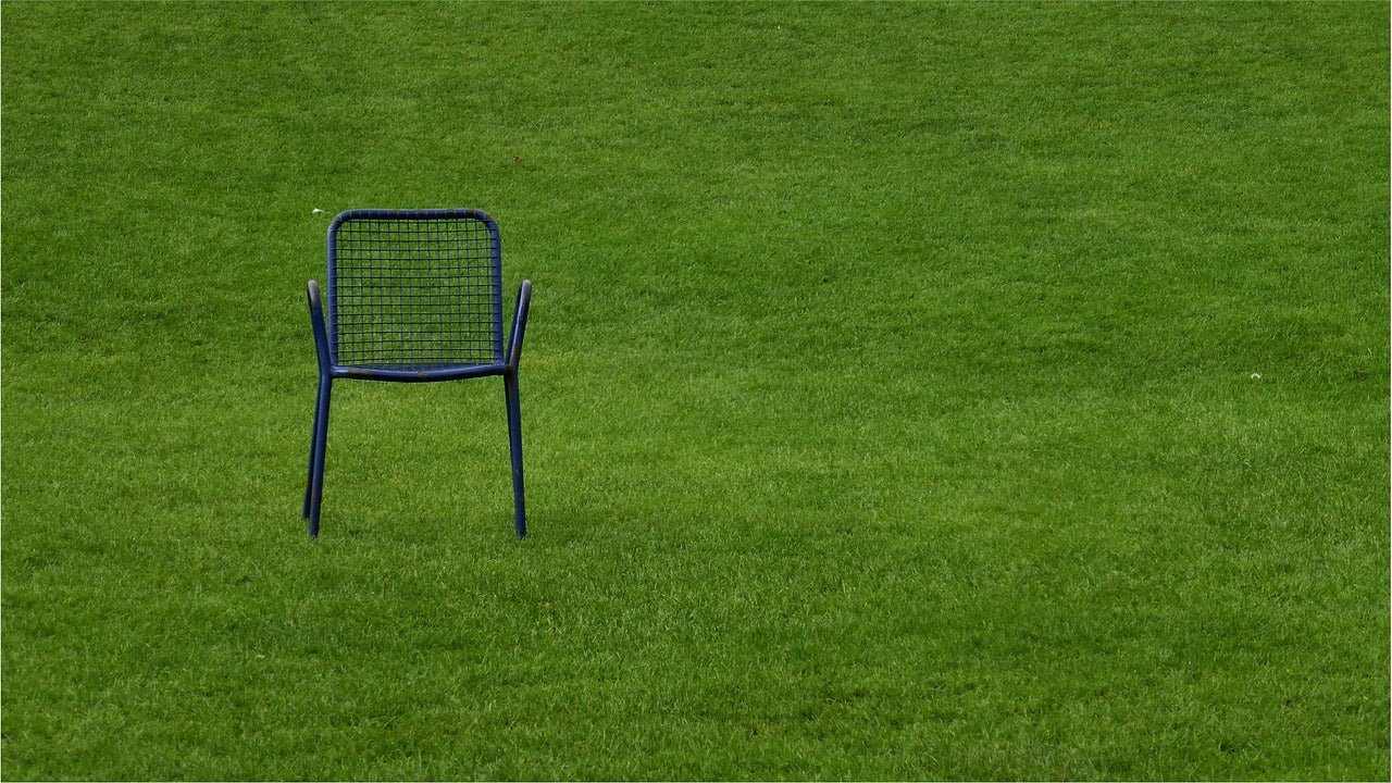 Cutting a Lawn Shorter and More Regular to Encourage Lateral Growth
