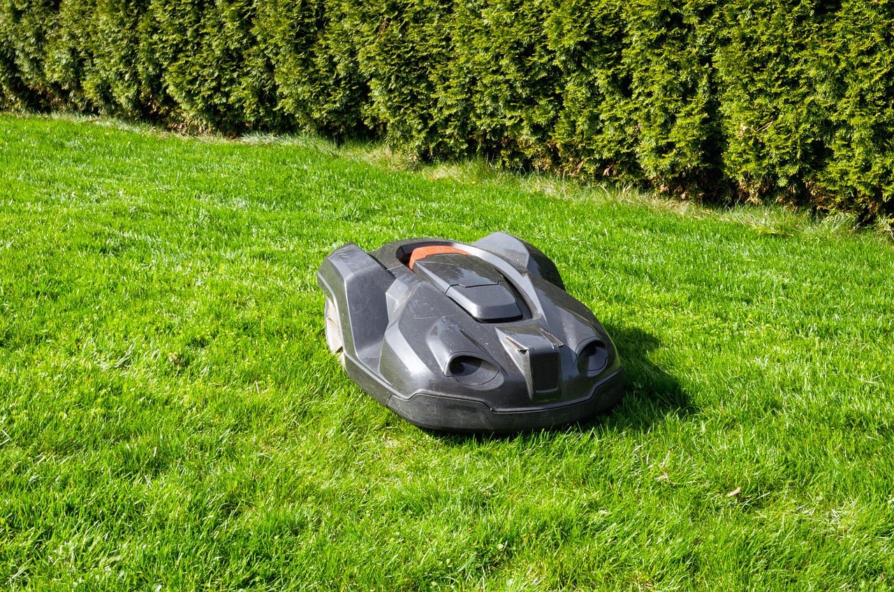 How Long Do I Leave Turf Before Cutting?