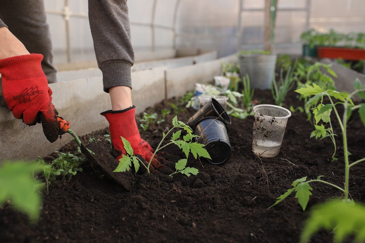 How Much Soil Should I Have in My Raised Bed?