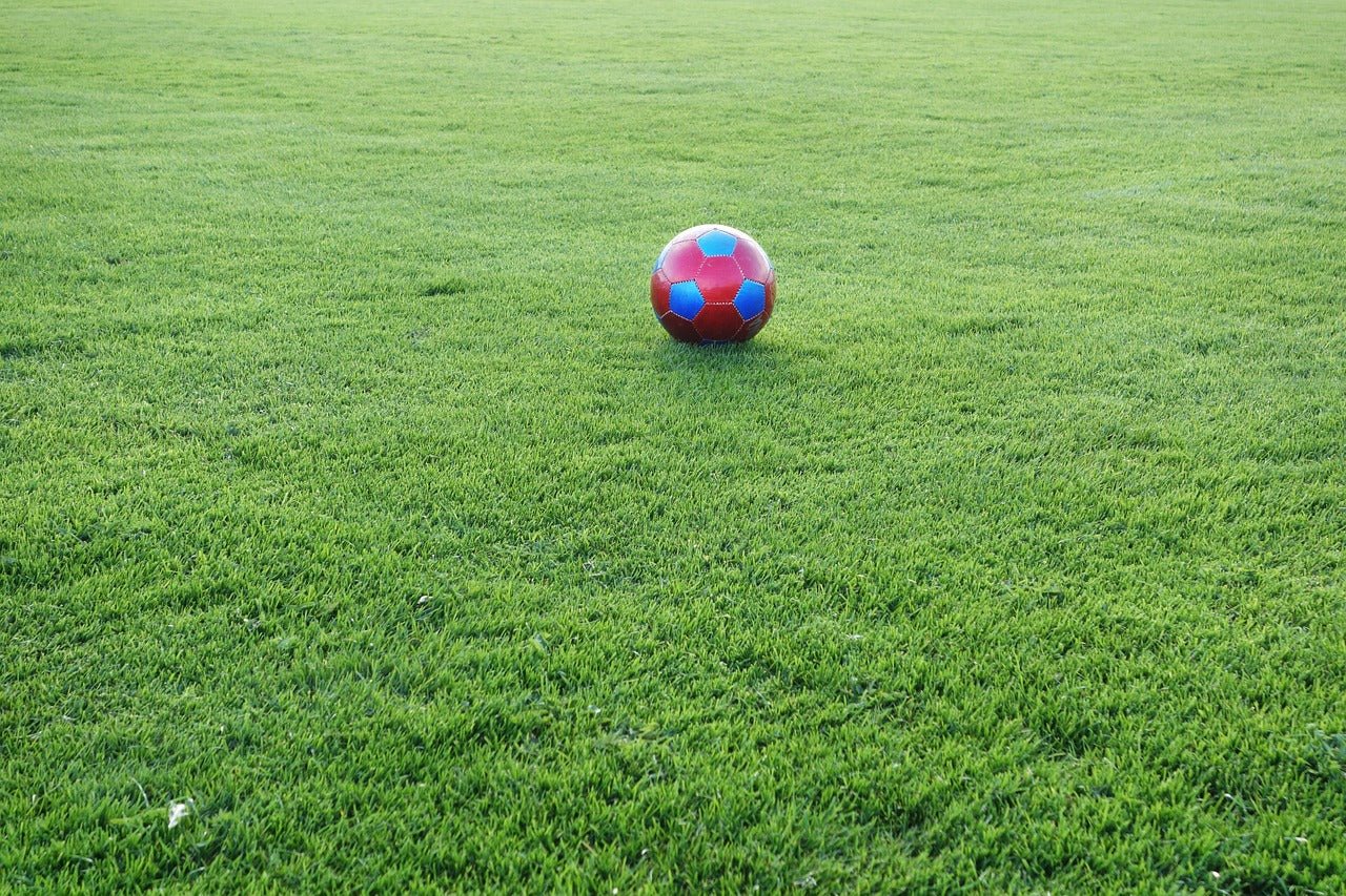 Is My Lawn Too Compacted?