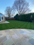 Grass Seed