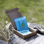 Summer Liquid Lawn Feed