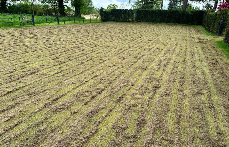 What Does Scarifying the Lawn Do?