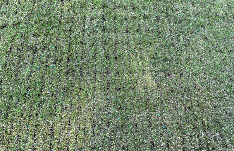 What is Hollow Tine Aeration for a Lawn?
