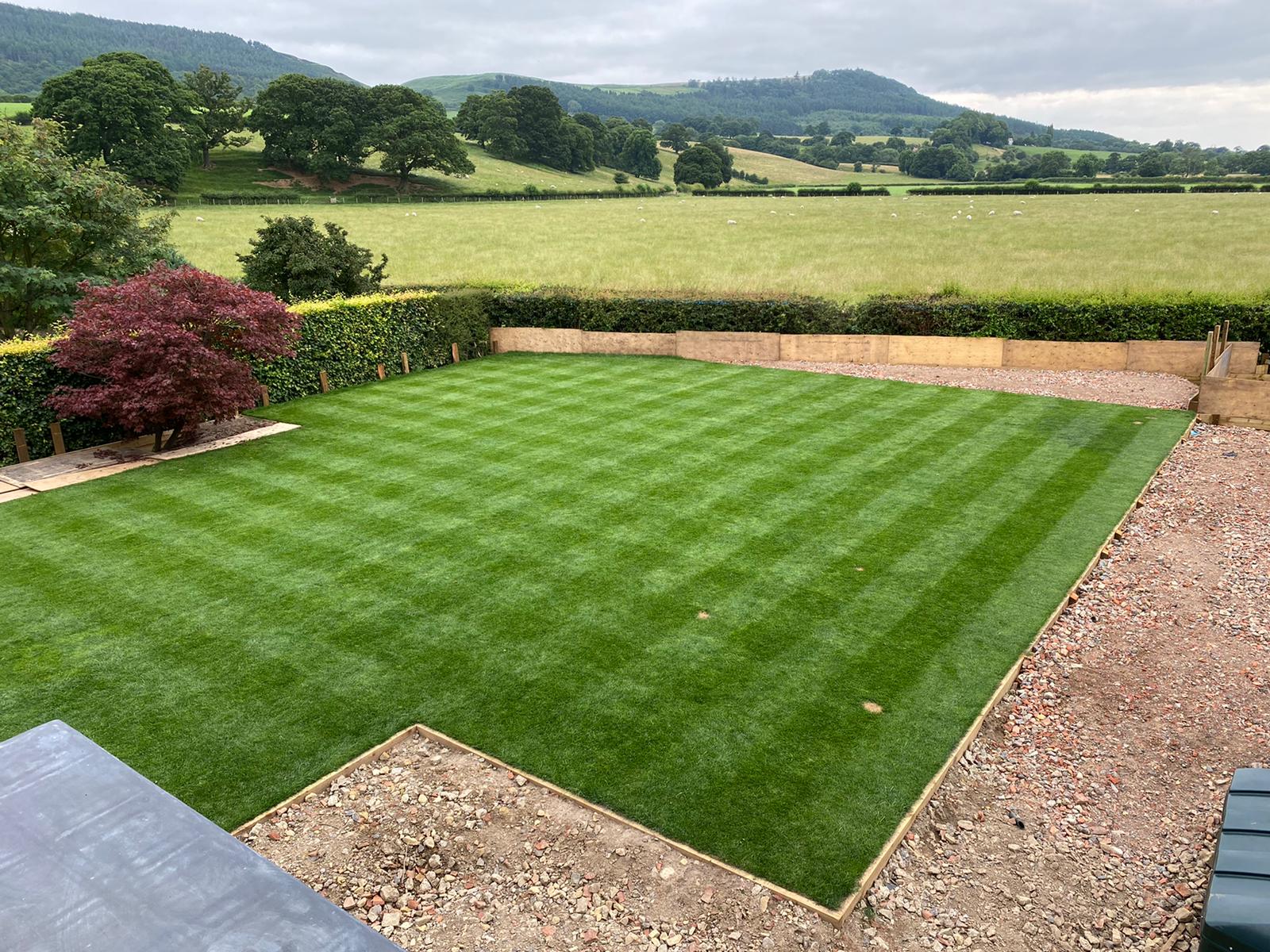 What do I need to get stripes on my lawn?