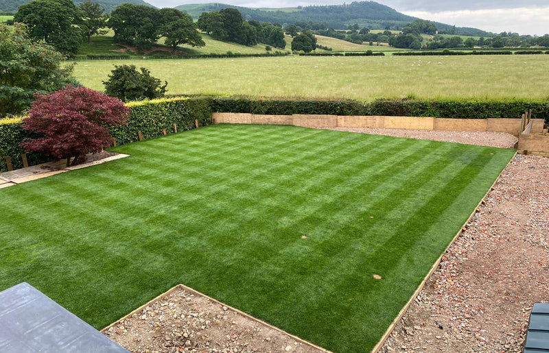 What do I need to get stripes on my lawn?