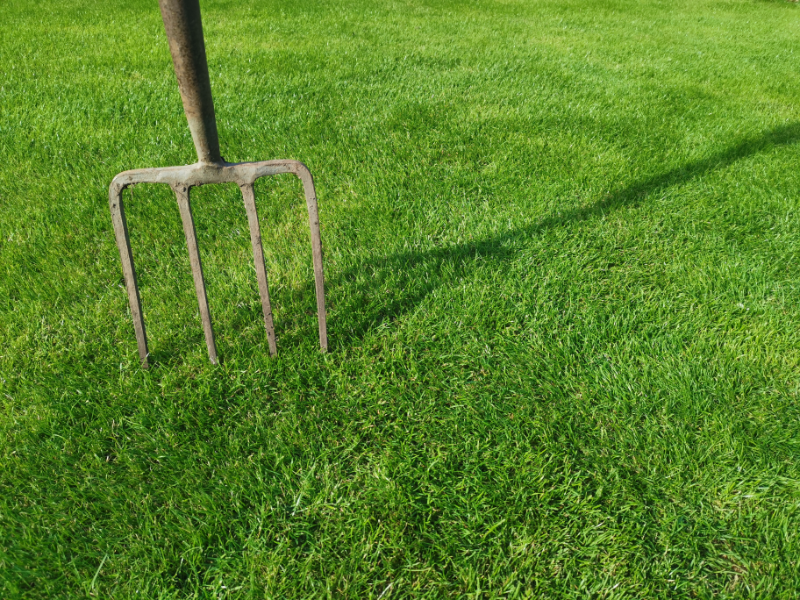 Why, When, and How to Aerate Your Lawn