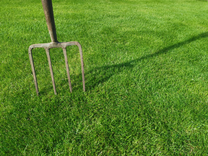 How to aerate a lawn