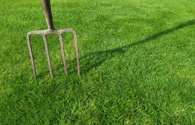 How to aerate a lawn