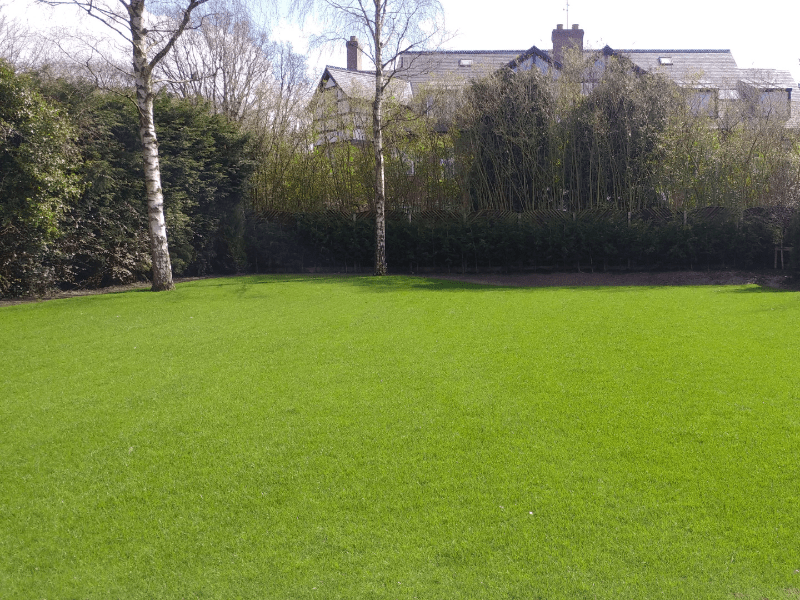 Feeding your lawn