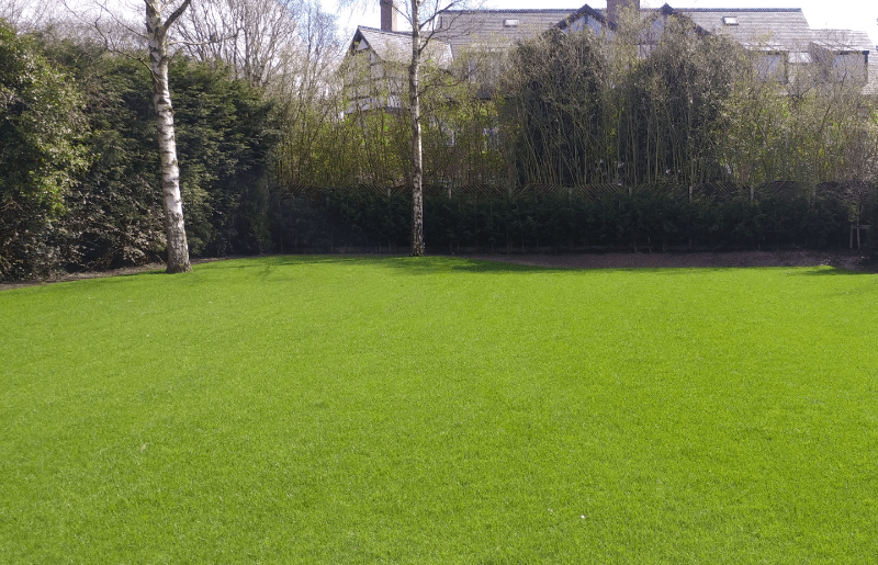 Feeding your lawn