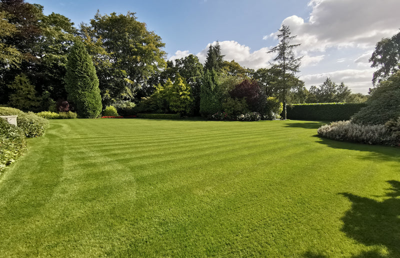 It’s not too early to get the lawn ready for the summer.