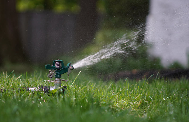 How to Maintain Your Lawn During a Hose Pipe Ban