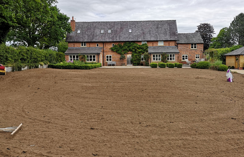 Best time to sow grass seed