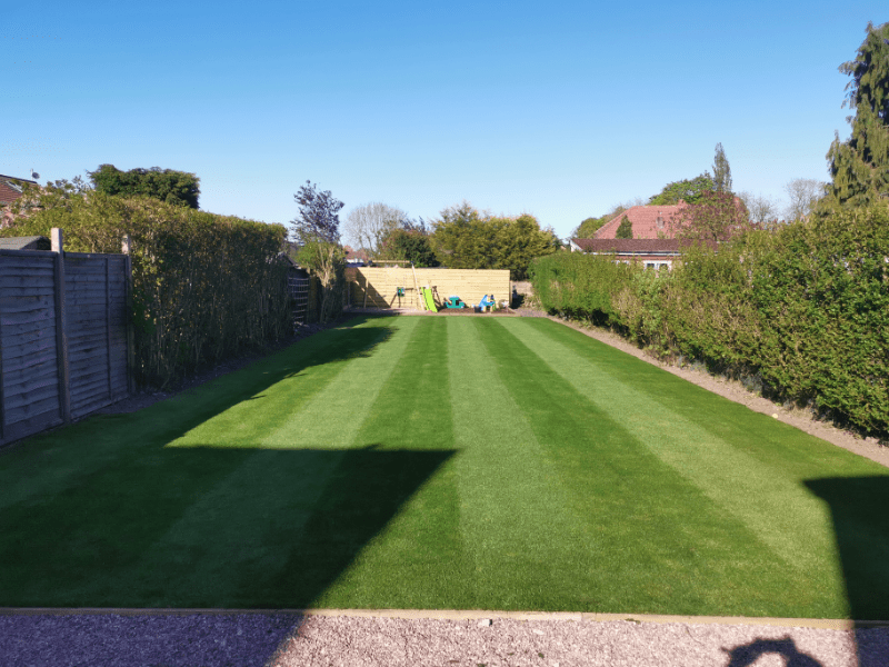 How to Stripe Your Lawn