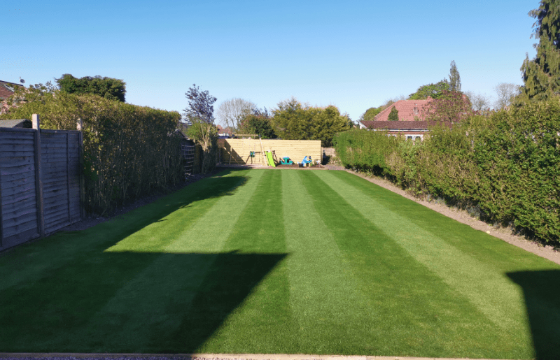 How to Stripe Your Lawn