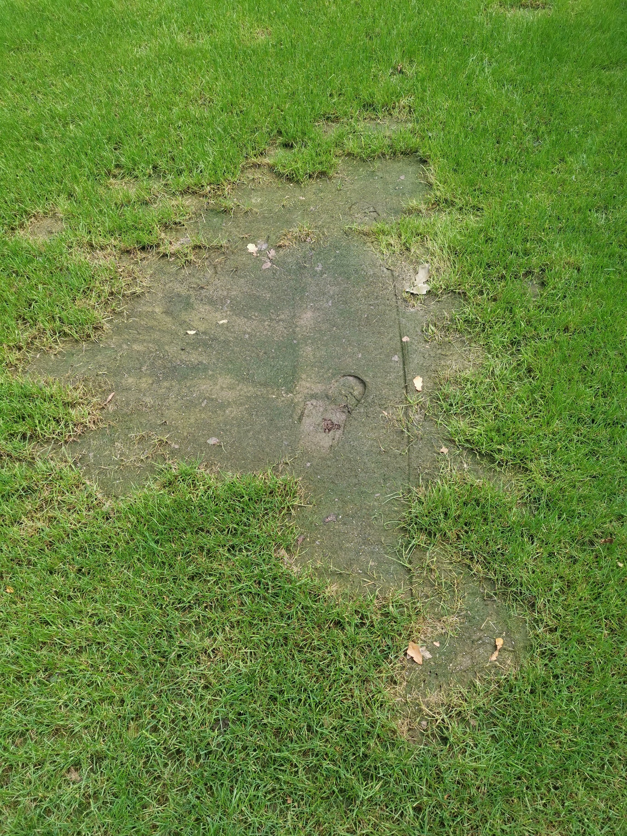What causes brown patches in lawns