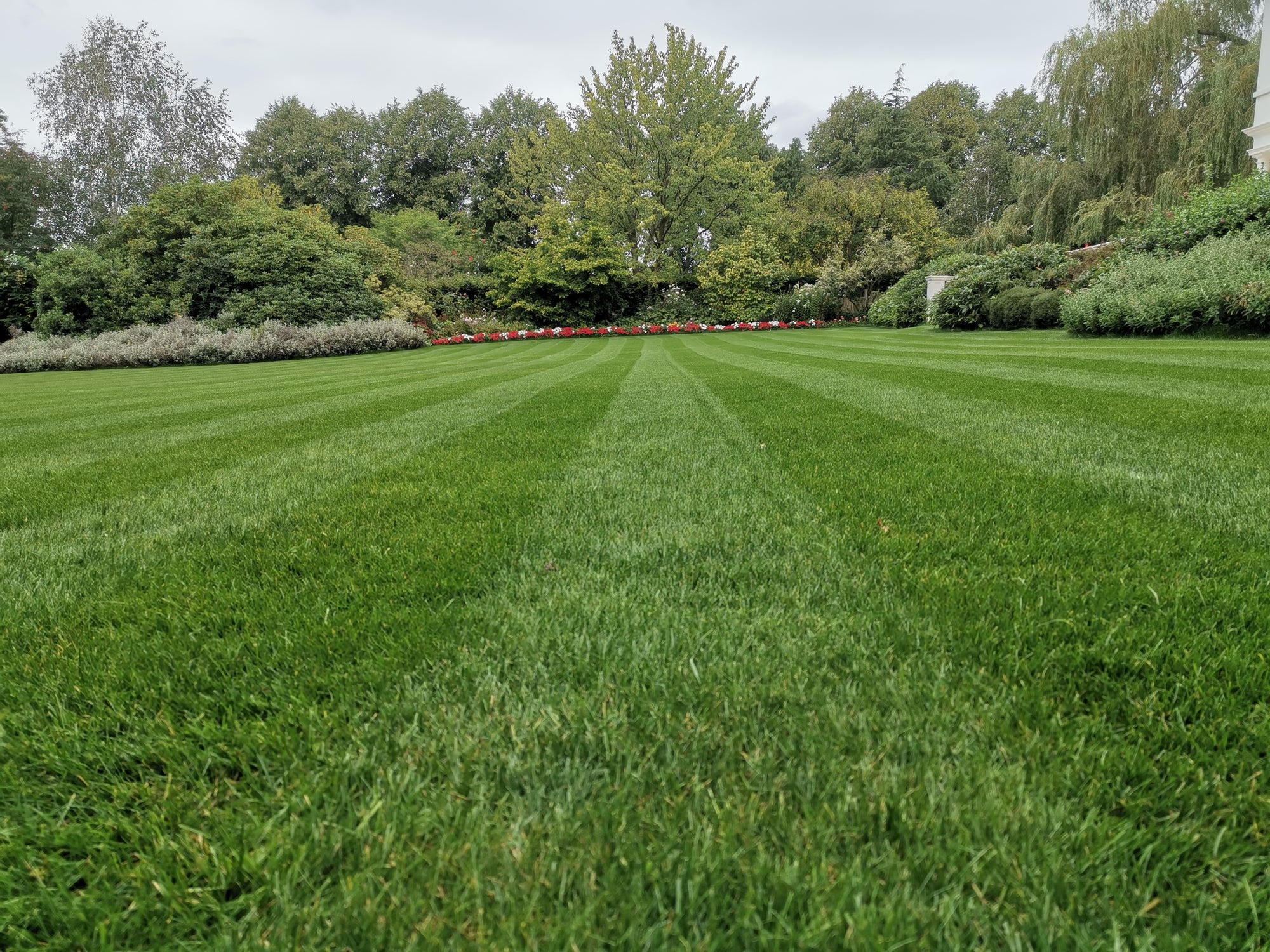 The Benefits of Fertilising Your Lawn