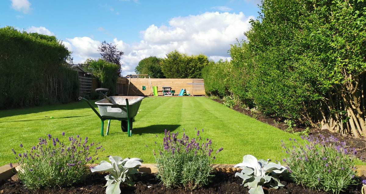 The Benefits of Having a Nice Garden Lawn