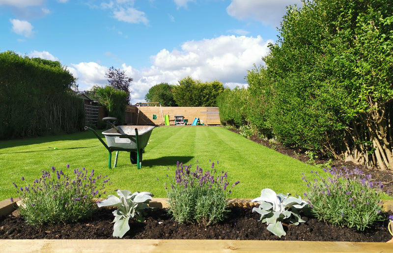 Considering artificial turf in your garden? 4 reasons why natural grass is best