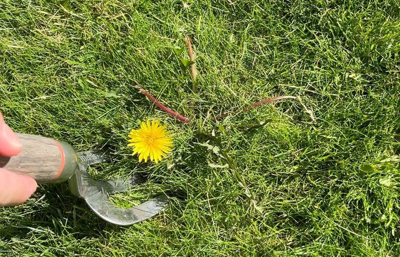 Does weedkiller kill grass?