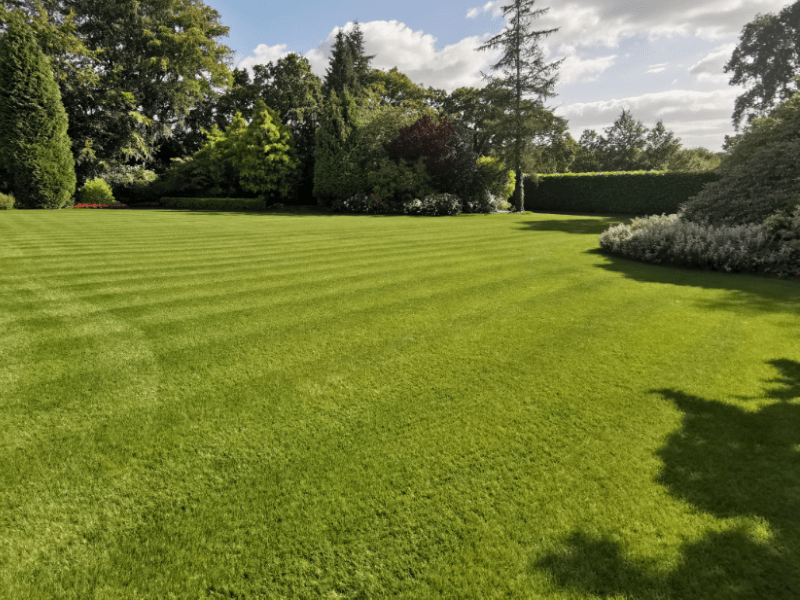 Mowing tips for an established garden lawn