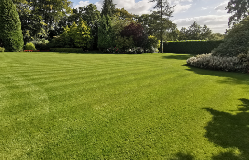 Mowing tips for an established garden lawn