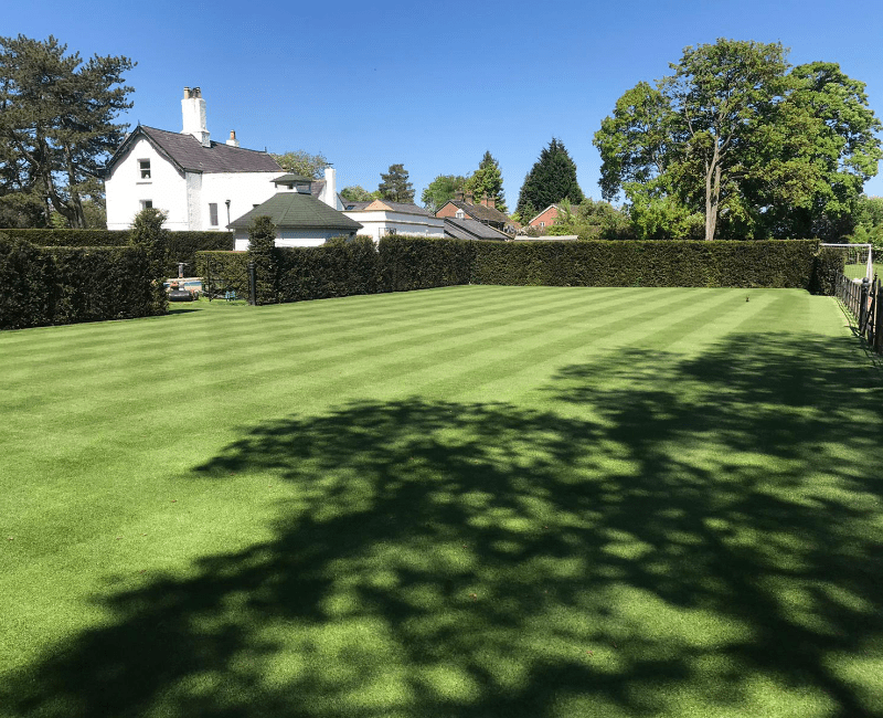 Why do we need to mow the lawn in different directions?