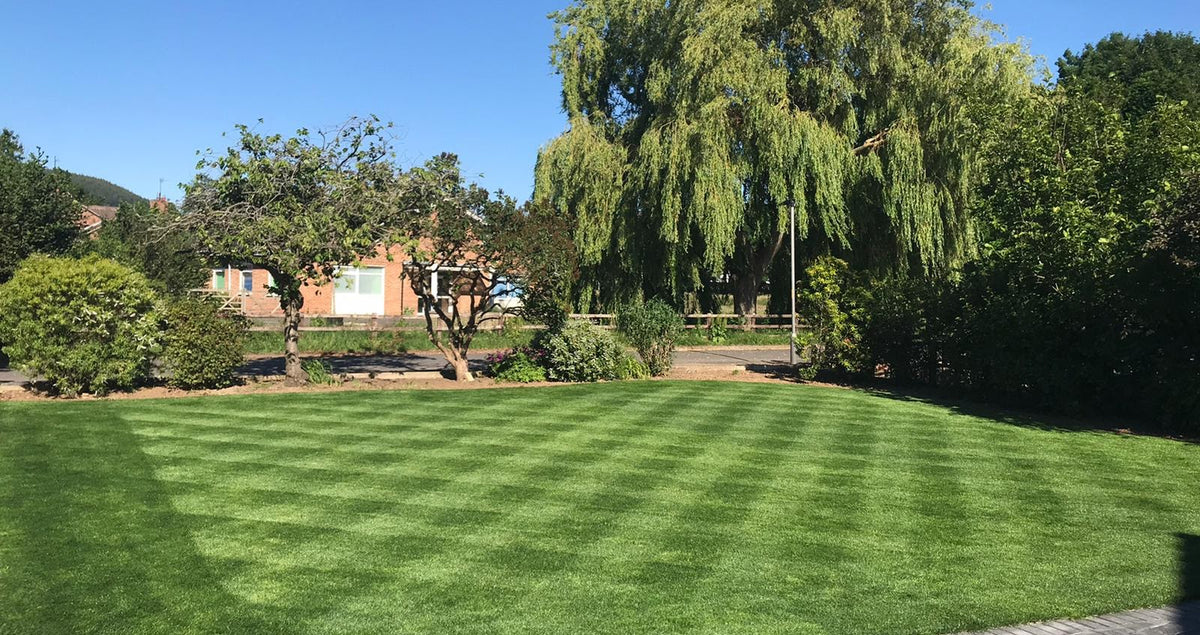 Why Real Lawns are Better Than Artificial Lawns