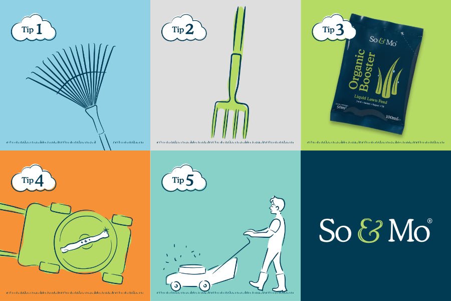 April Essentials: what to do to get your lawn looking summer ready