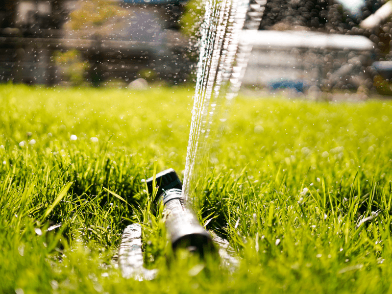 How often to water new turf