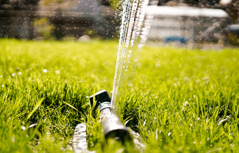 How often to water new turf