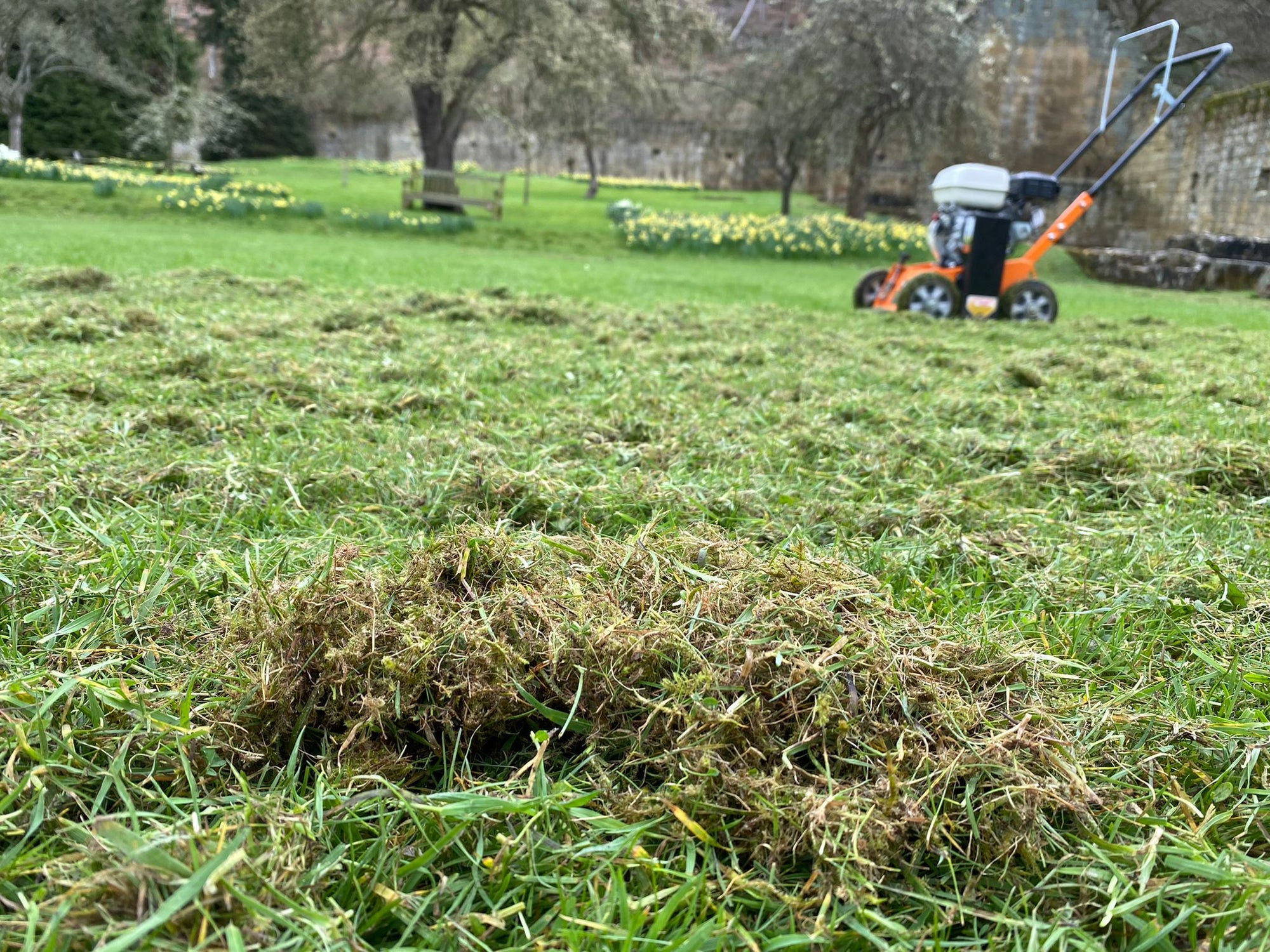 What is Verti-Cutting and Is It Important?