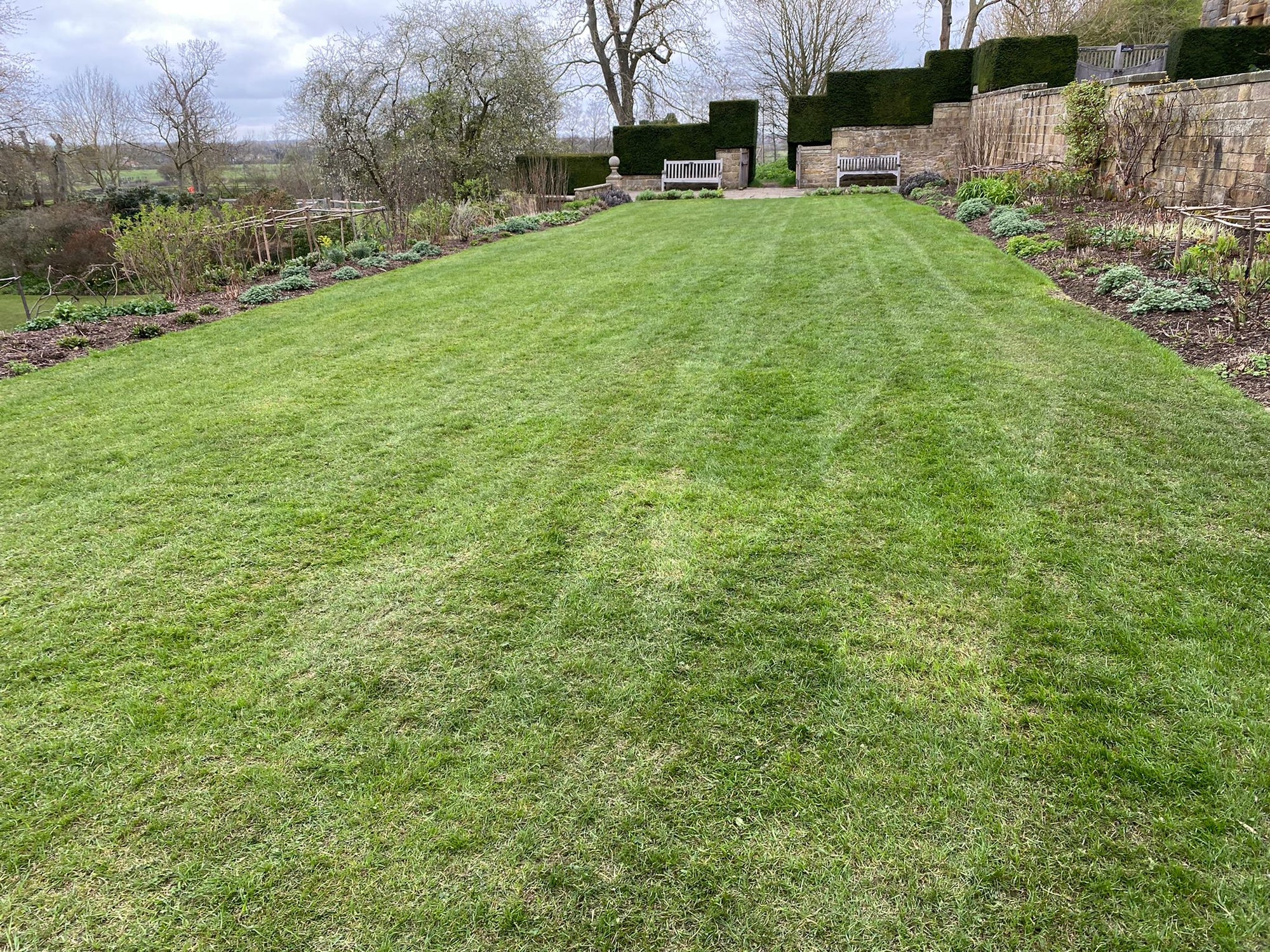 The Importance of Overseeding and Adding New Plants to Your Lawn