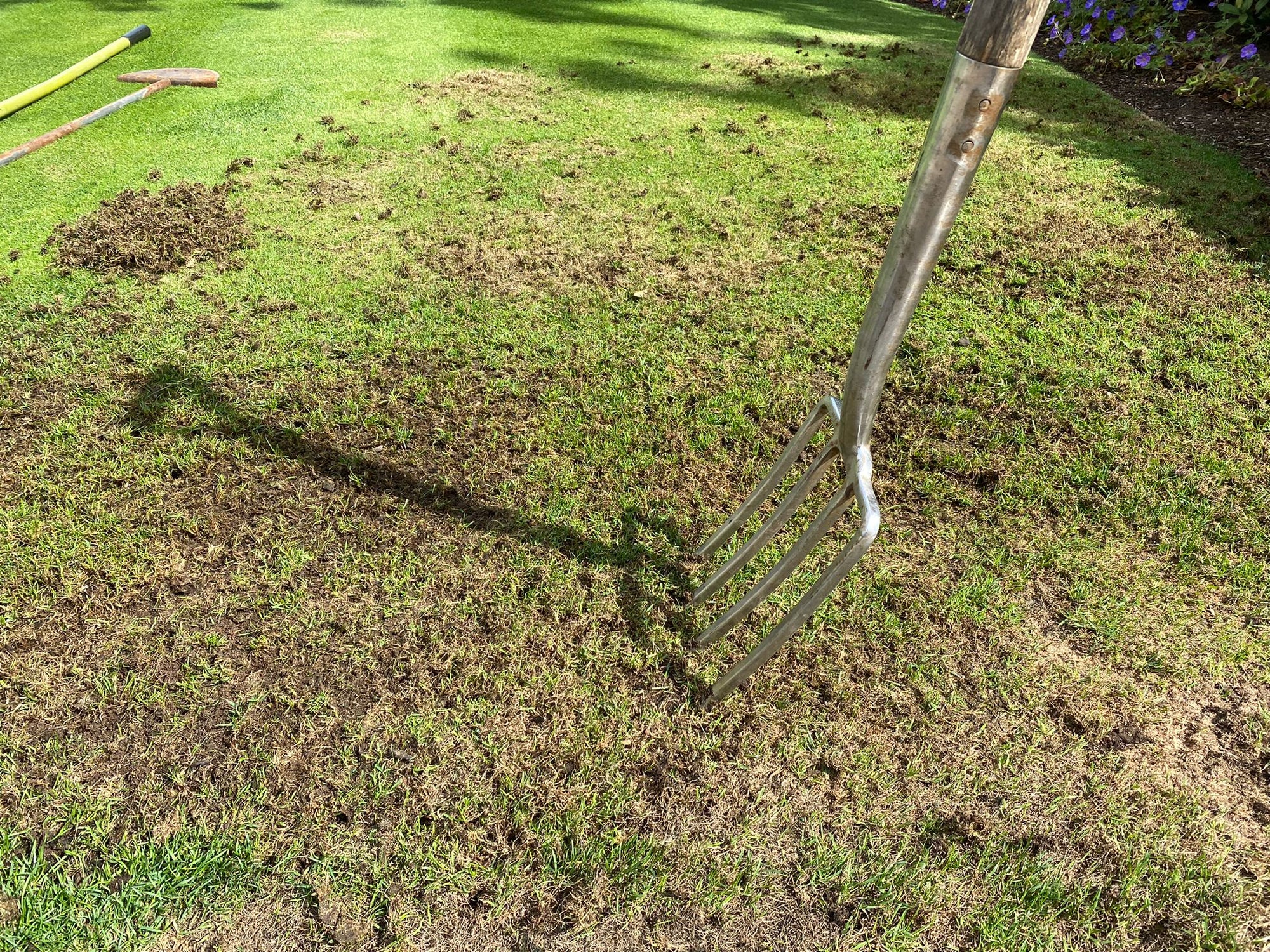 How to repair your lawn after the heatwave