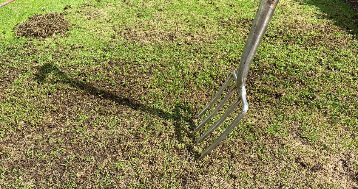 How to repair your lawn after the heatwave