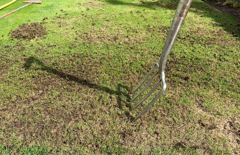 How to repair your lawn after the heatwave