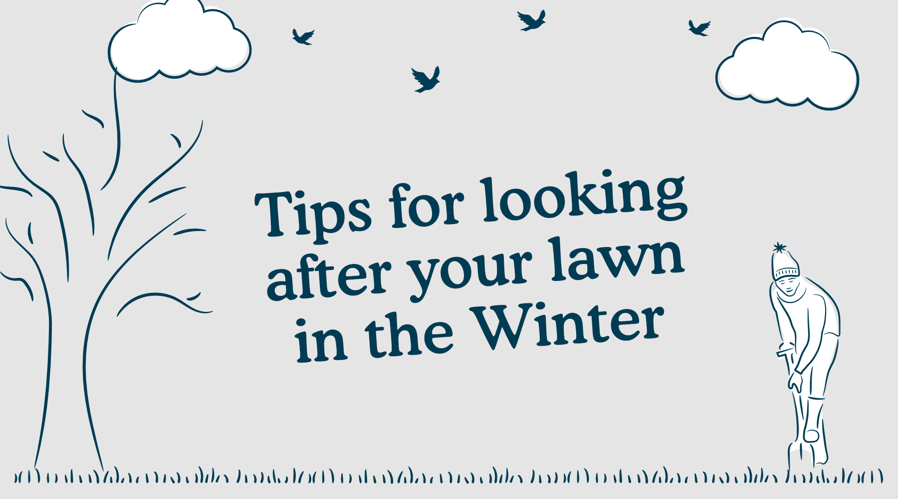 Winter Essentials: Looking after your lawn in the winter