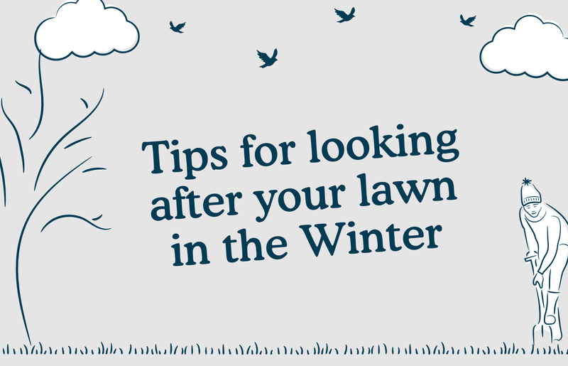 Winter Essentials: Looking after your lawn in the winter