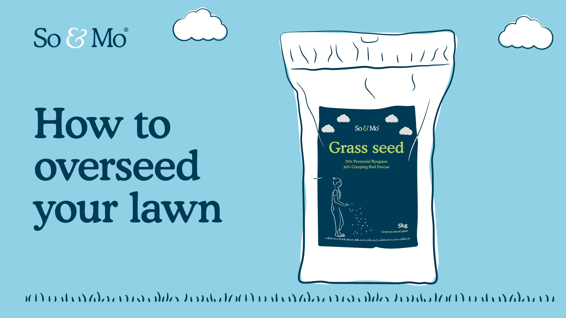 Overseeding your lawn