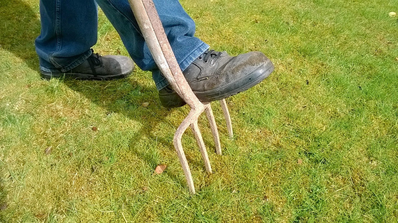 Can I Aerate My Lawn with a Garden Fork?