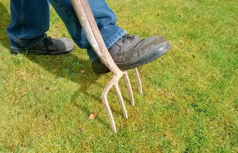 Can I Aerate My Lawn with a Garden Fork?